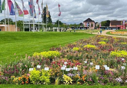 23-05-16 10-54-47 5386